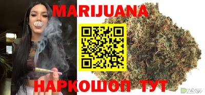 гидропоника Пугачёв