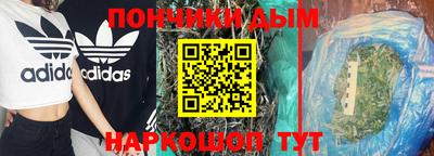 гидропоника Пугачёв