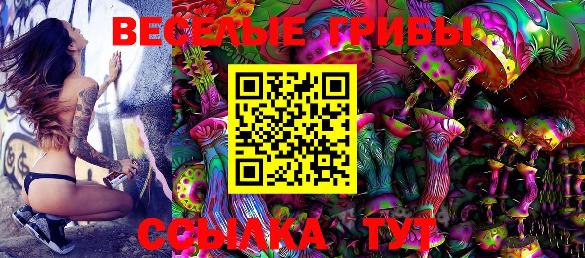 Галлюциногенные грибы Psilocybe  Вход с VPN  Белгород 